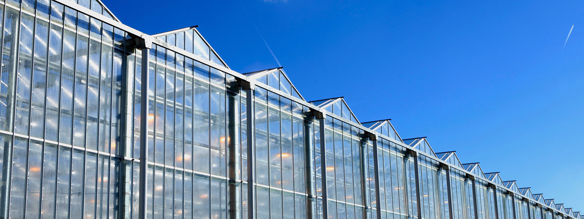 Construction of greenhouse complexes Construction of greenhouse complexes
