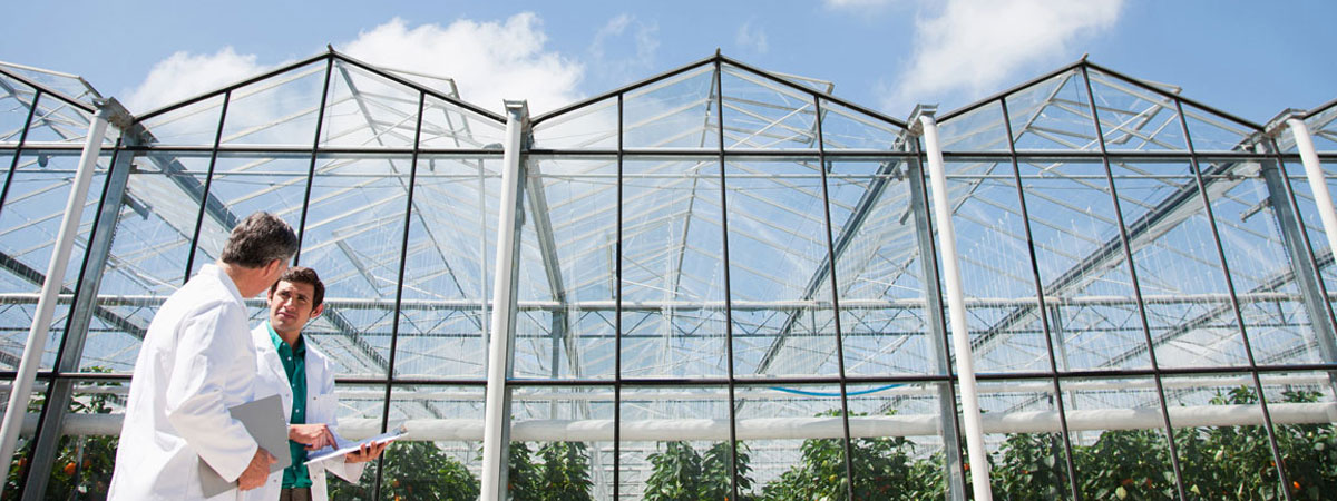 Greenhouse maintenance Greenhouse maintenance